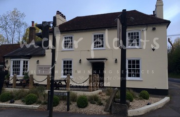 Major Plants Ltd - Before after - London - UK - Image 