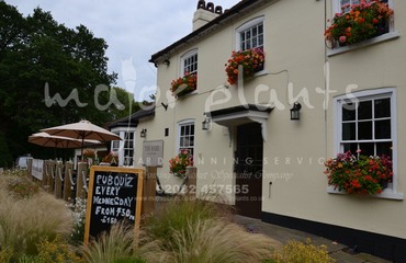 Major Plants Ltd - Before after - London - UK - Image 1