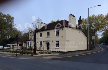 Major Plants Ltd - Before after - London - UK - Image 8