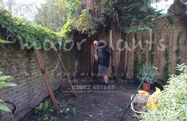 Major Plants Ltd - Before after - London - UK - Image 16