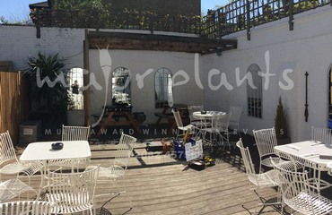 Major Plants Ltd - Before after - London - UK - Image 18