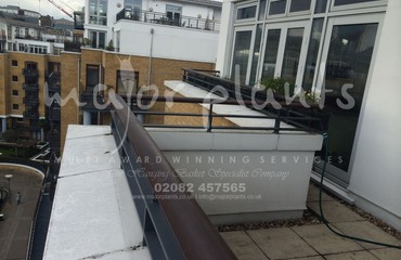 Major Plants Ltd - Before after - London - UK - Image 40