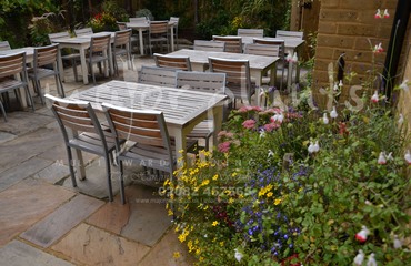 Major Plants Ltd - Before after - London - UK - Image 57
