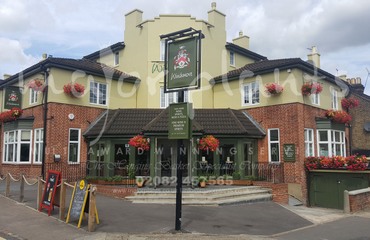 Major Plants Ltd - Before after - London - UK - Image 65