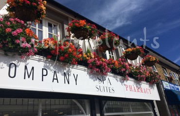 Major Plants Ltd - Hanging Basket Services - London - UK - Image 6