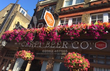 Major Plants Ltd - Hanging Basket Services - London - UK - Image 12