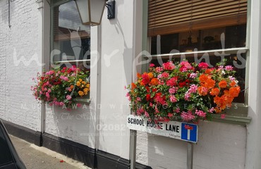 Major Plants Ltd - Hanging Basket Services - London - UK - Image 37