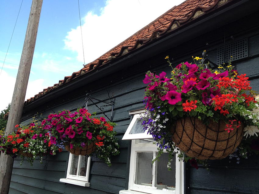 Hanging Basket Maintenance Service London UK